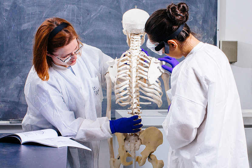 A professor and an undergraduate student working on a skeleton