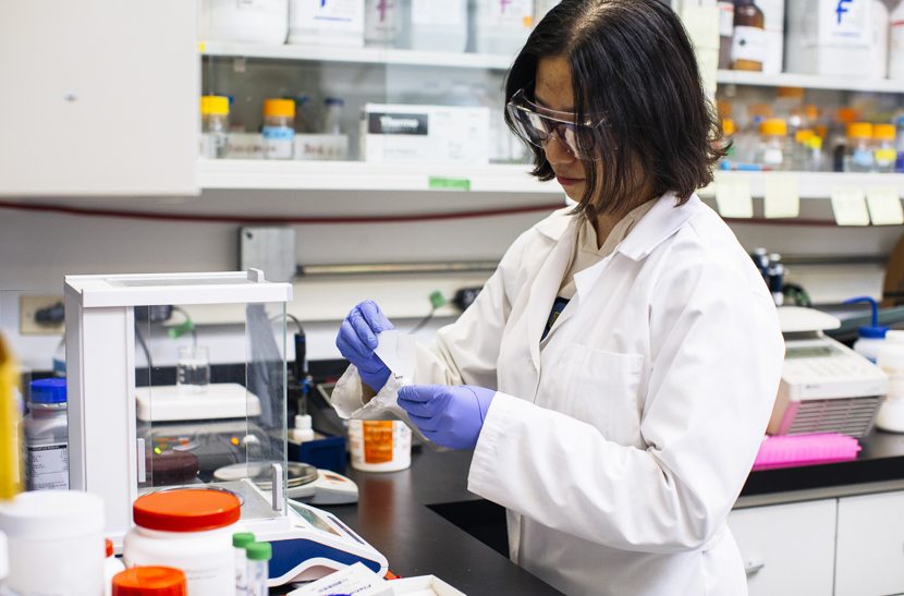 A student prepares to weigh out a compound in a biology lab