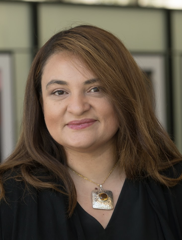 IIT College of Architecture Appoints Maria A. Villalobos Hernandez Director  of Master of Landscape Architecture and Urbanism Program