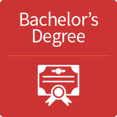 Bachelor's Degree Graphic