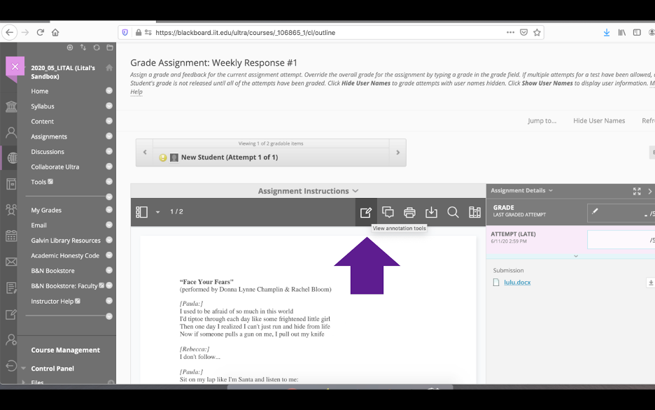 From the Instructor point-of-view, an arrow pointing to the "View Annotation Tools" icon in Blackboard