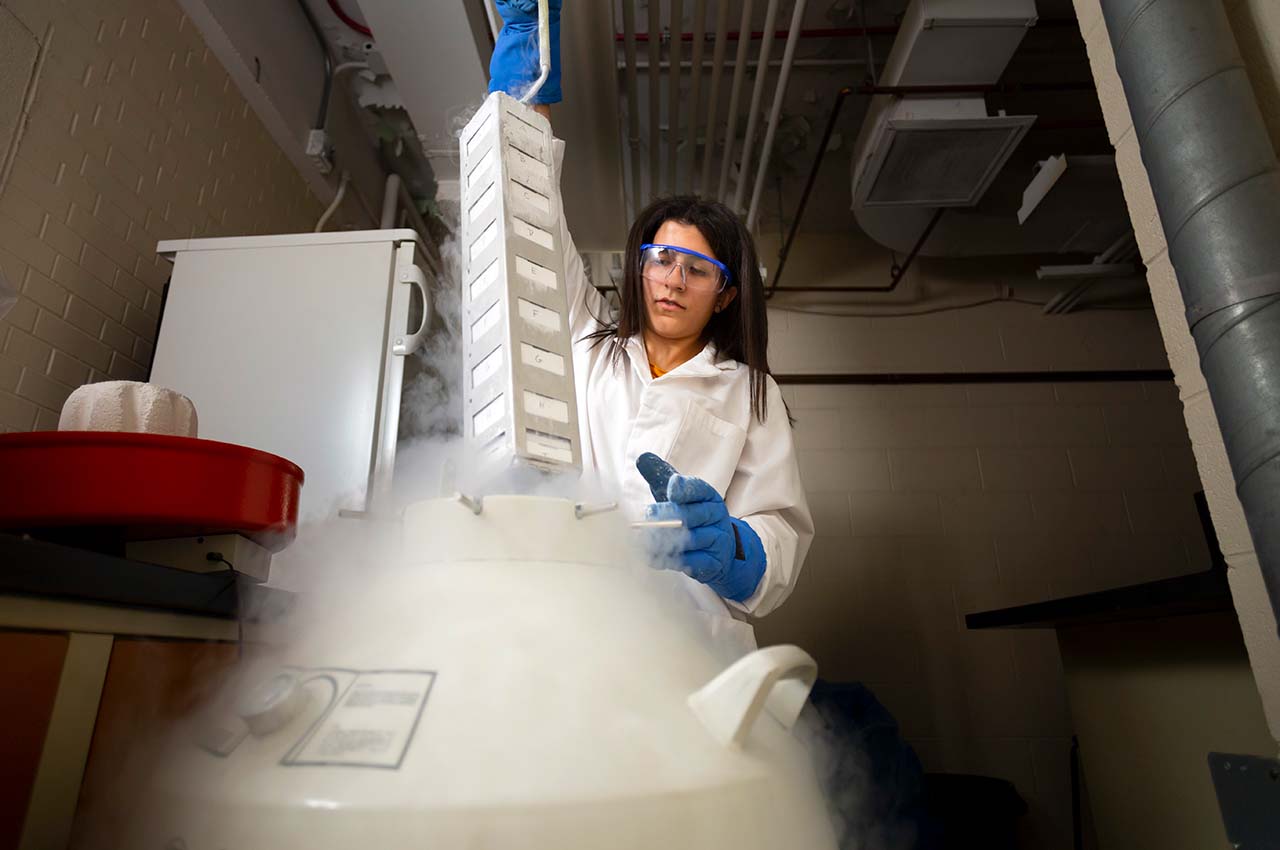 Hands-On, High Value: Illinois Tech Ranks High for Experiential Learning - Vimarsana News