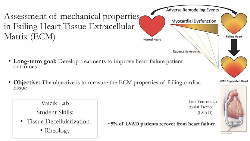 Assessment of Mechanical Properties in Failing Heart Tissue Extracellular Matrix 