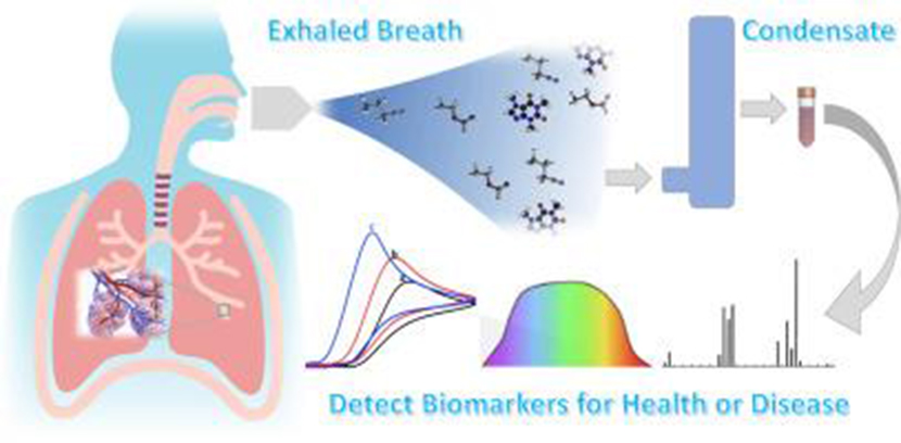 Development of sensors for exhaled breath