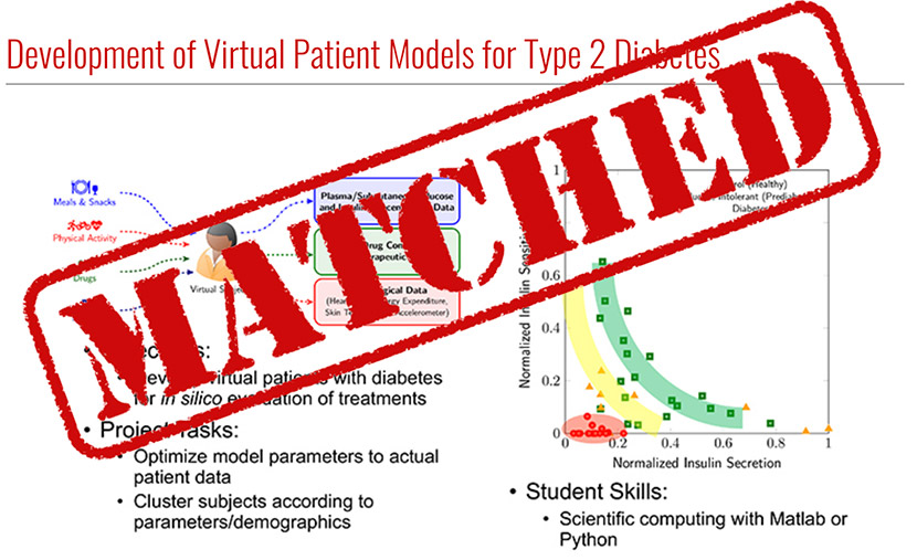 Development of Virtual Patient Models for Type 2 Diabetes