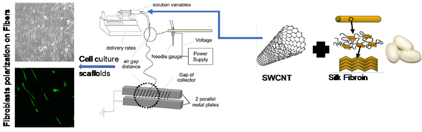 Silk-CNT Composite Fibers and Its Application in Mediating Fibroblast Stimulation for Tissue Regeneration