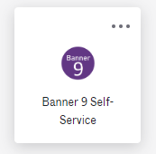Banner Self-Service icon