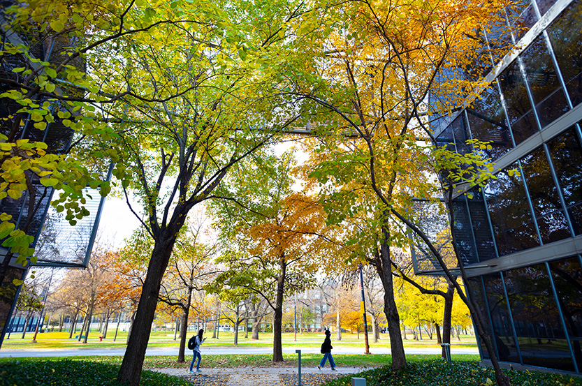 Mies Campus Tours