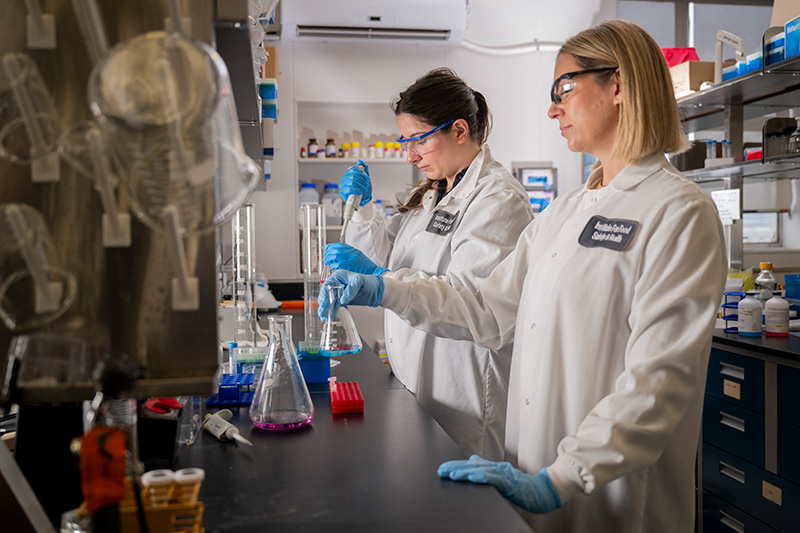 Two Illinois Tech students work in the lab at the Institute for Food Safety and Technology