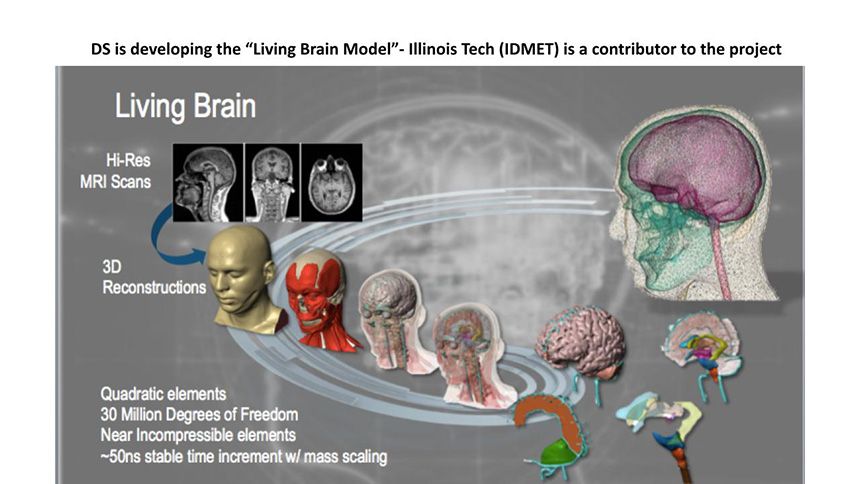 Living Brain Model project slide