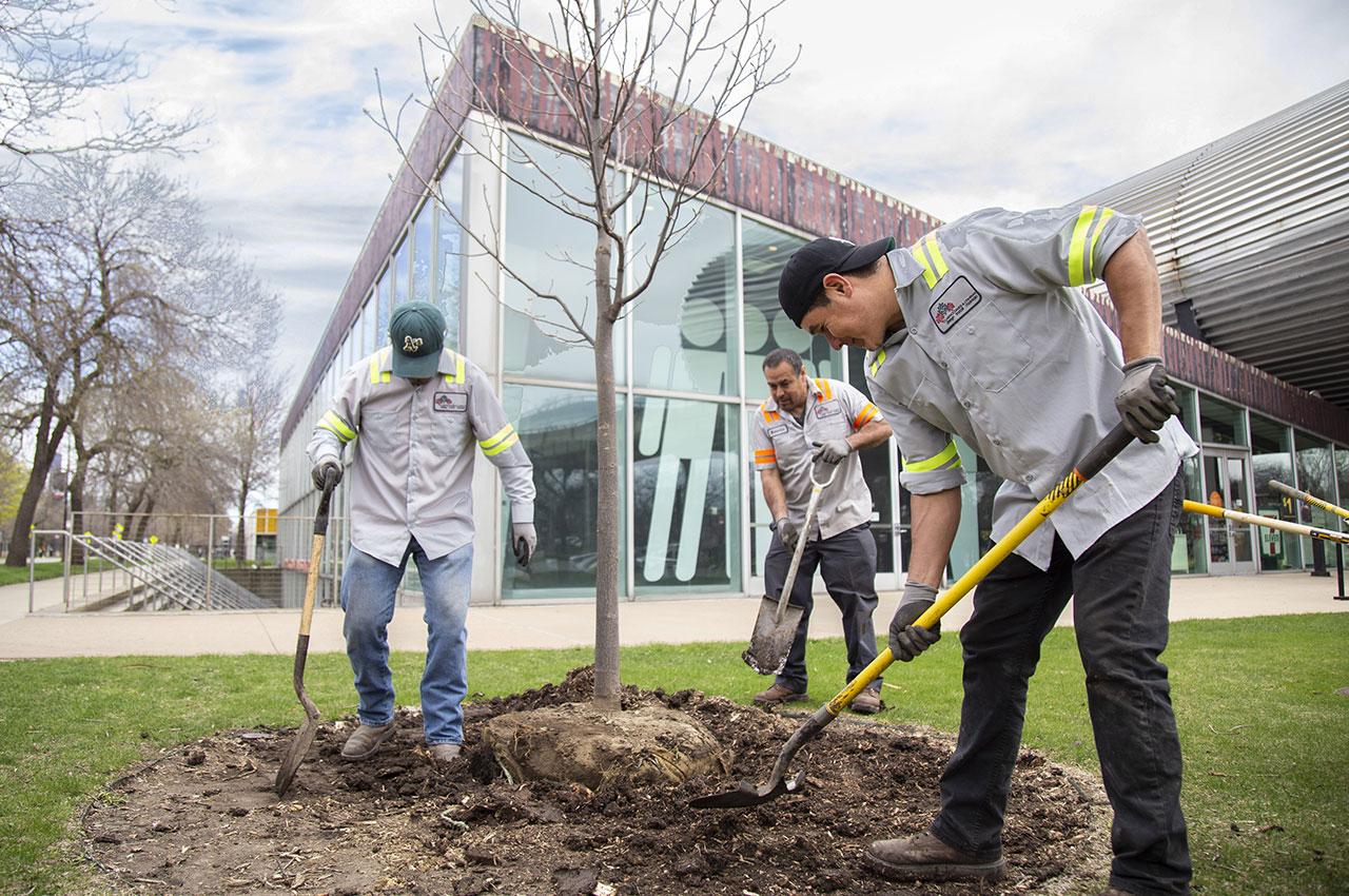 Illinois Tech Celebrates Arbor Day with Massive Campus-Wide Tree Planting Initiative