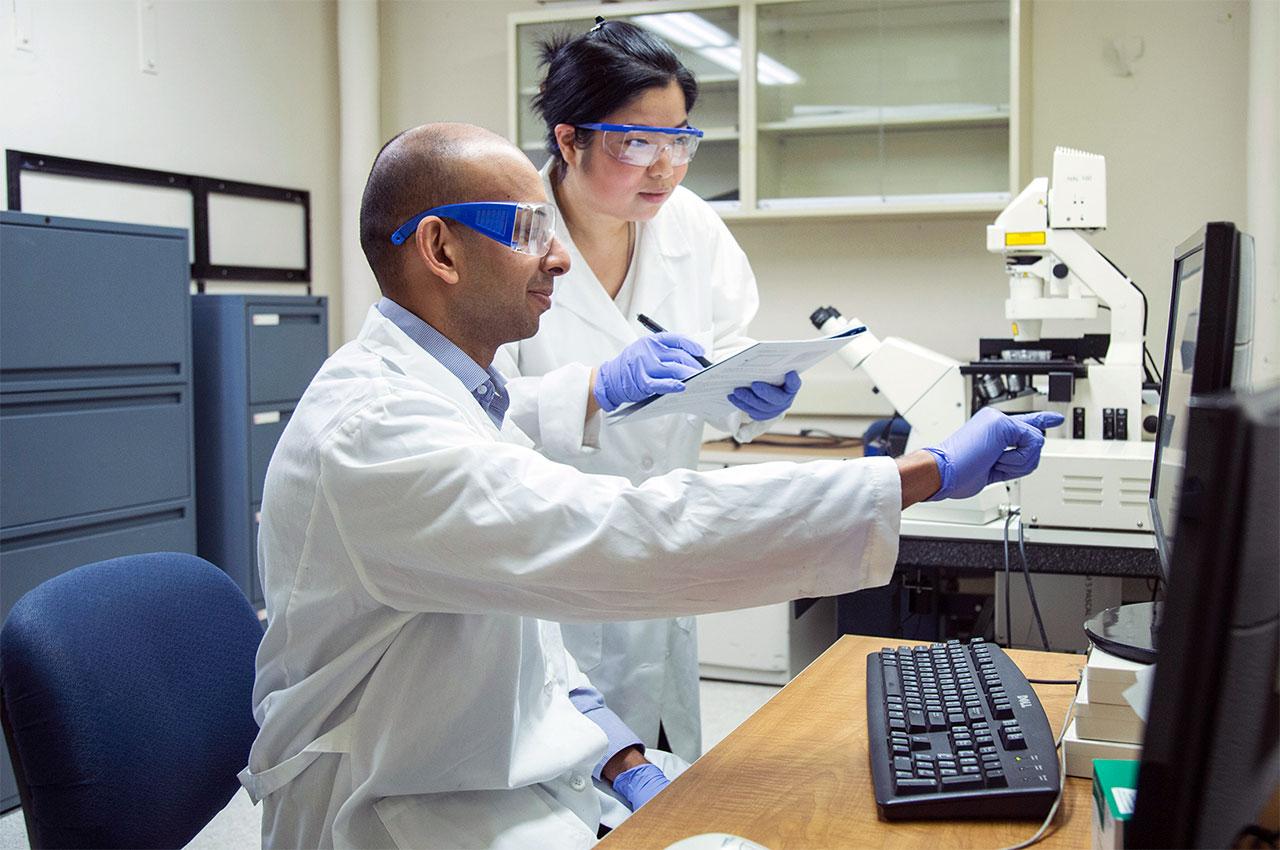 Illinois Tech Engineers Advance Obesity Research Through Innovative Microfluidic Chip