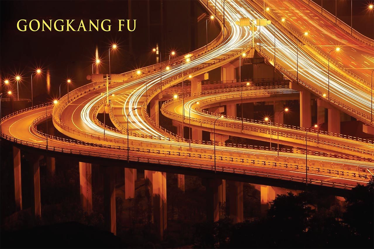 Gongkang Fu book cover