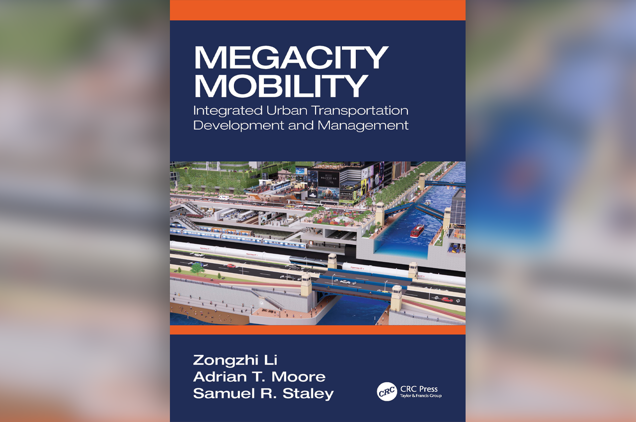 Cover of the book Megacity Mobility