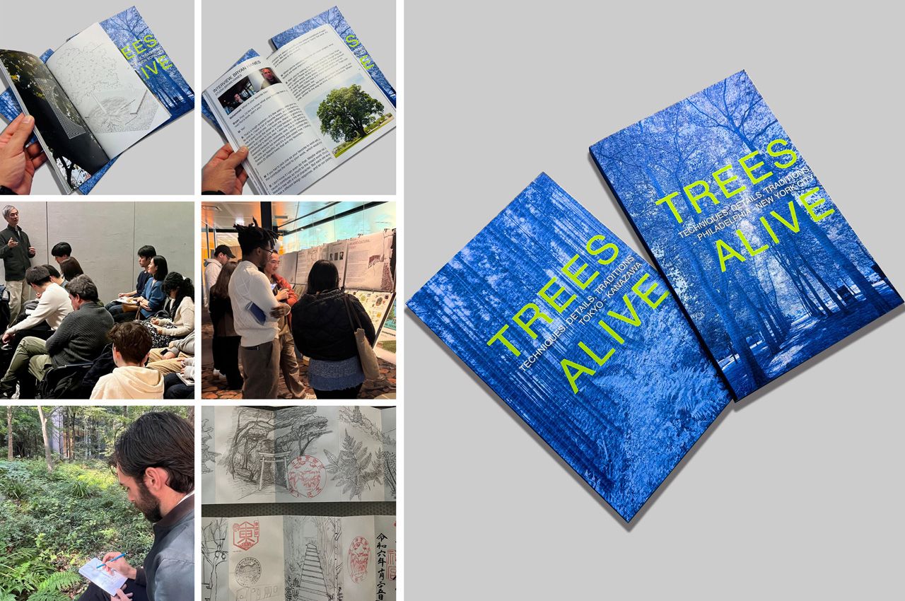 Image: Trees Alive book cover accompanied by student participants