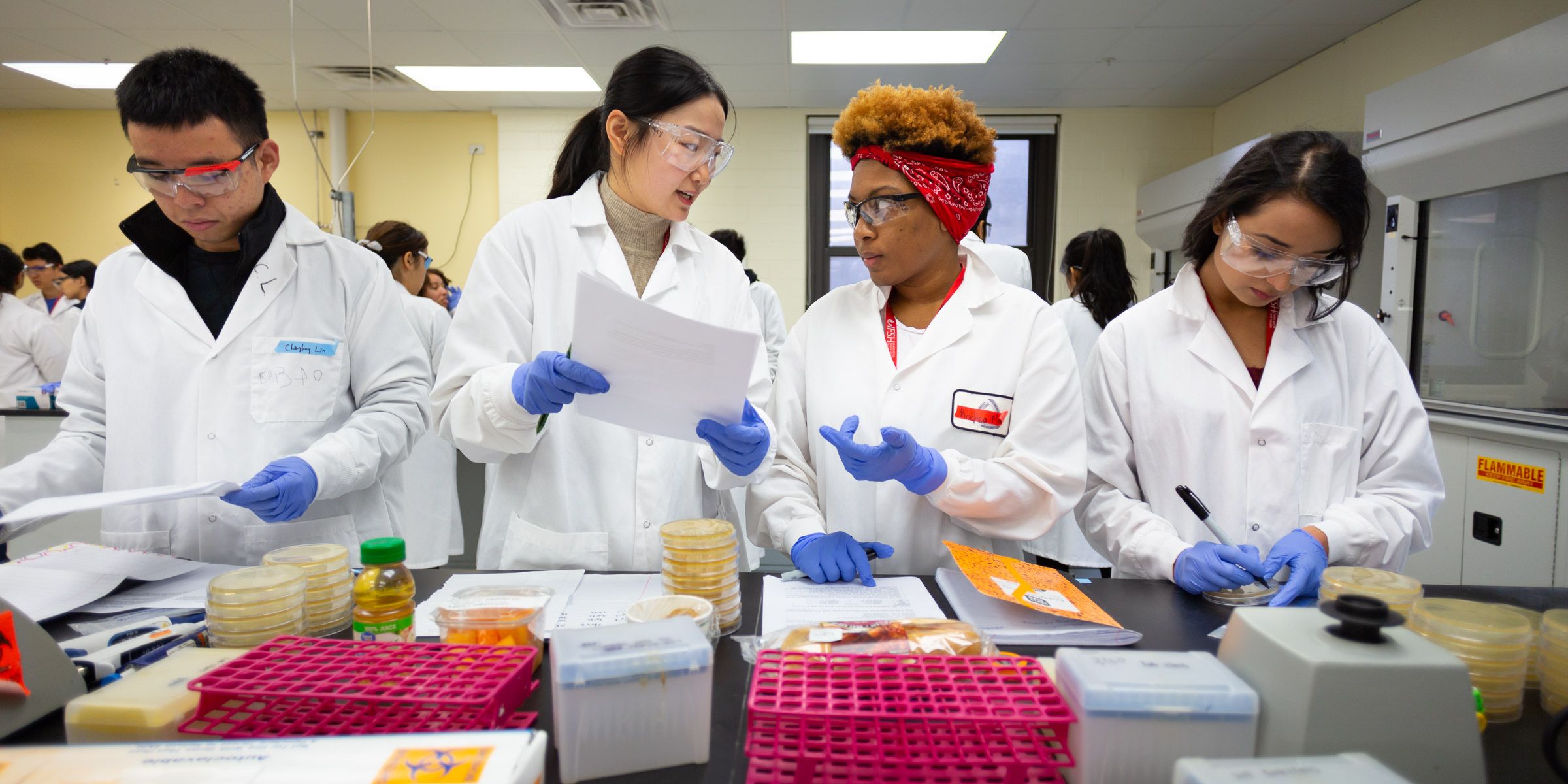 Food Science And Nutrition B S Illinois Institute Of Technology