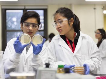 IFSH students study food bacteria samples in a lab