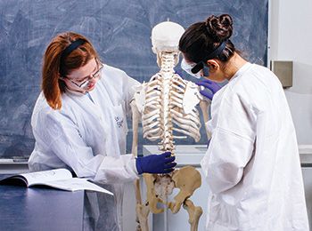 Student and faculty member looking a skeleton