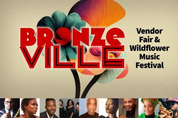 Bronzeville Vendor Fair and Wildflower Music Festival Flyer