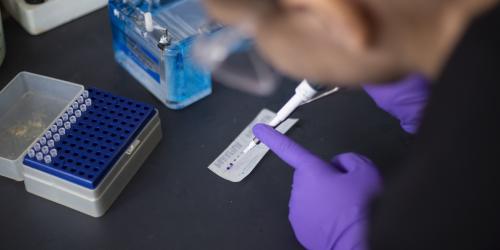 A student uses a pipette
