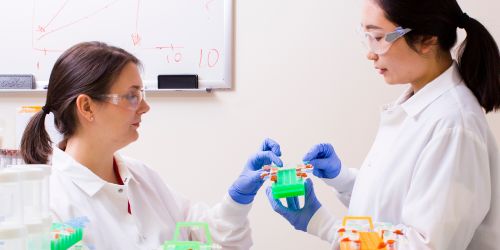 A female faculty member and a current student working in a lab