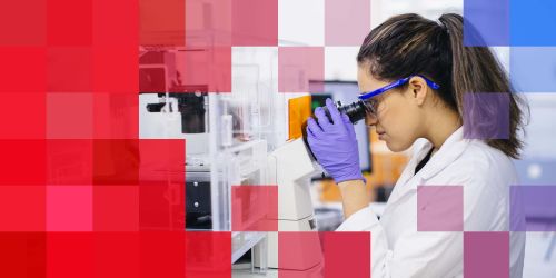 Illinois Tech femal Biomedical engineering student looking into microscope with purple medical gloves 
