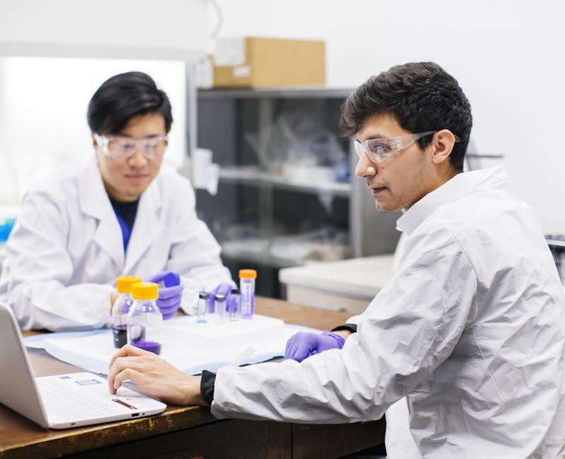 Researchers in the Juarez lab work with compounds