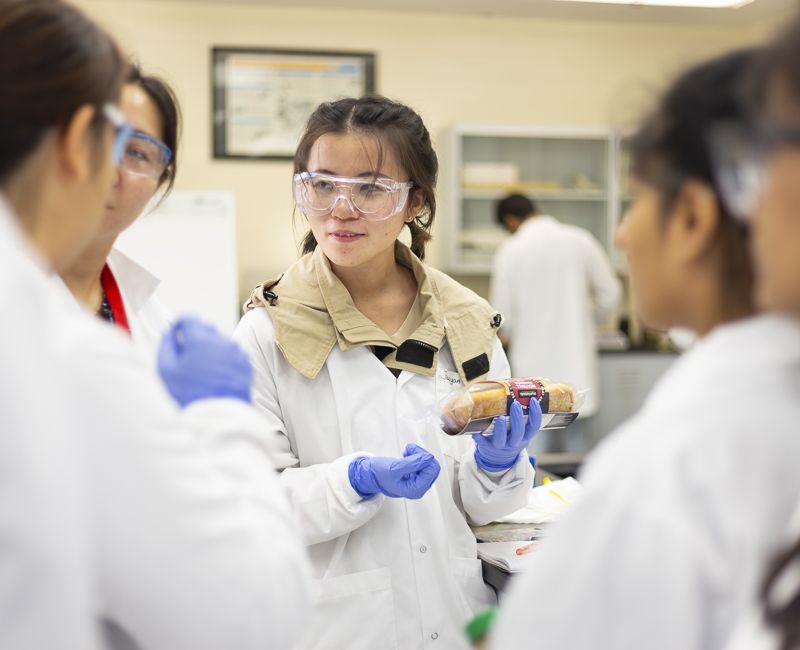 Students test for bacteria on commercially prepared foods. 