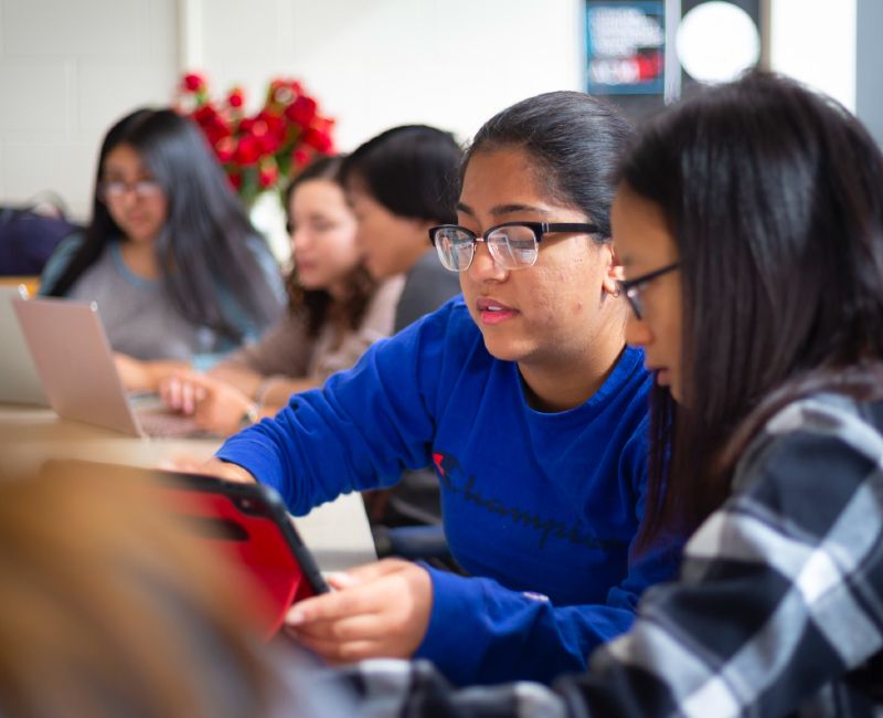 Illinois Tech students collaborating on laptops