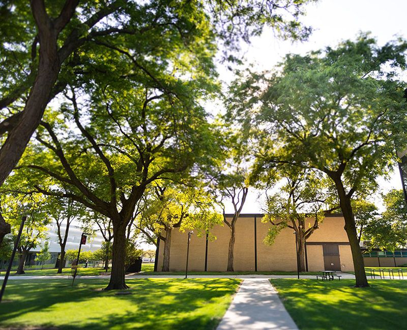 Trees are shown on Illinois Tech's Mies Campus